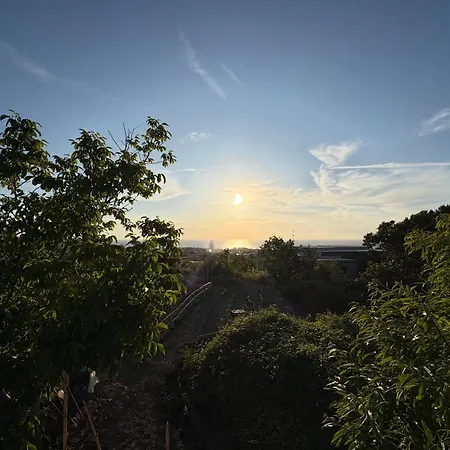 Ischitana - Terrazza Con Giardino Hébergement de vacances