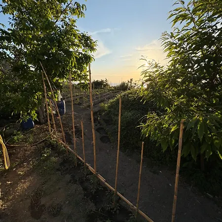 Ischitana - Terrazza Con Giardino