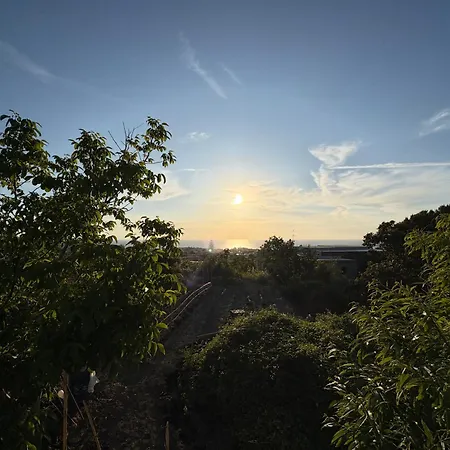 Ischitana - Terrazza Con Giardino Hébergement de vacances *