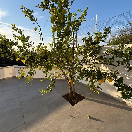 Casa de Férias Relax Ischitana - Terrazza Con Giardino Ísquia