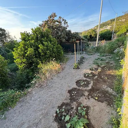 Ischitana - Terrazza Con Giardino Forio di Ischia