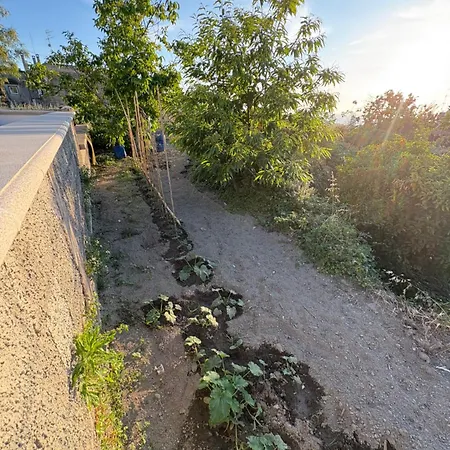 Hébergement de vacances Ischitana - Terrazza Con Giardino