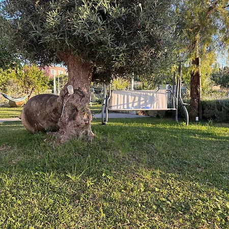 Hébergement de vacances Ischitana - Terrazza Con Giardino