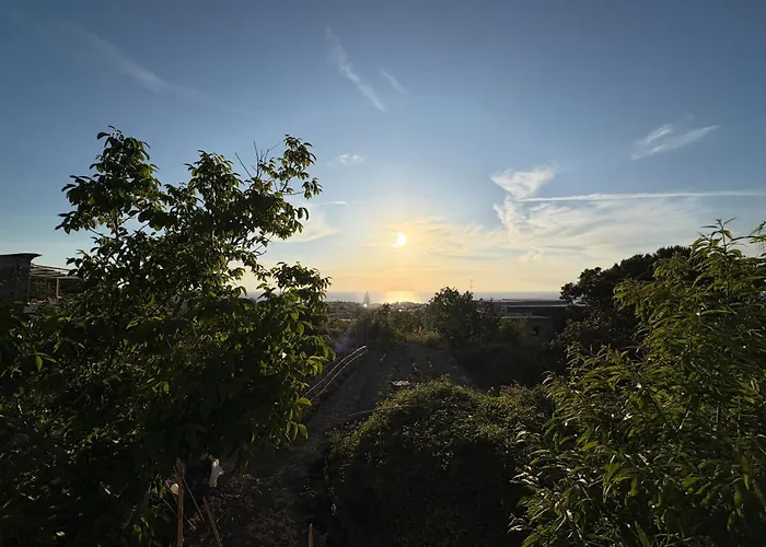 Ischitana - Terrazza Con Giardino Semesterbostad