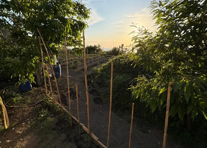 Ischitana - Terrazza Con Giardino